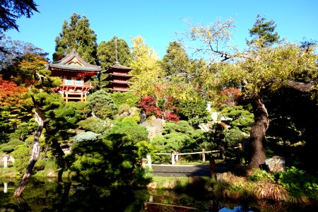 Japanese Tea Garden (San Francisco) - DSC00171
