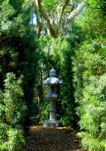 Japanese Stone Lantern - Bok Tower Gardens - DSC02329 photo