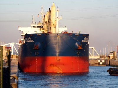 Issara Naree (ship, 2014) - IMO 9732187, Port of Antwerp, pic1