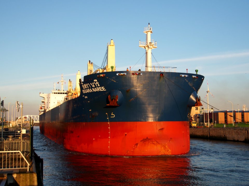 Issara Naree (ship, 2014) - IMO 9732187, Port of Antwerp, pic3