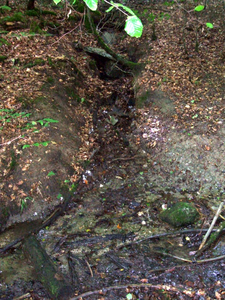 Issel rechter Zufluss Quelle Ex-Weg Mündung