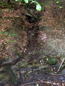 Issel rechter Zufluss Quelle Ex-Weg Mündung