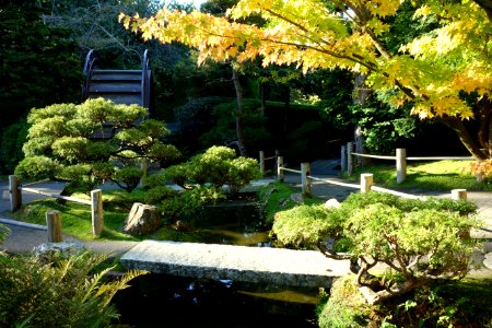 Japanese Tea Garden (San Francisco) - DSC00147