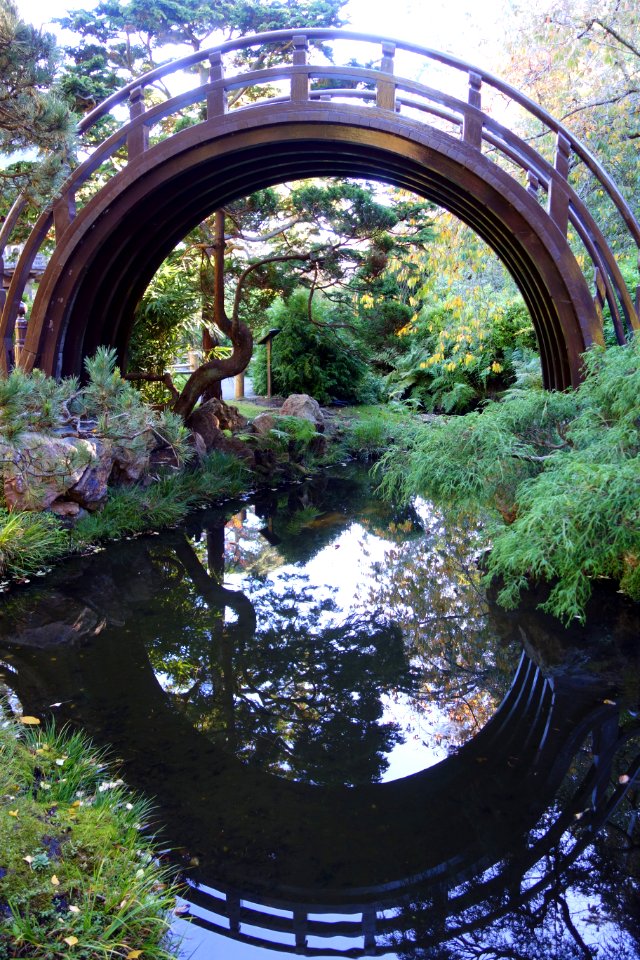 Japanese Tea Garden (San Francisco) - DSC00206