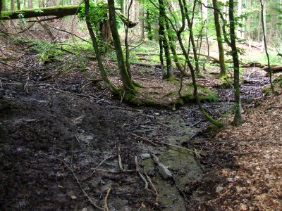 Issel rechter Zufluss 2. Zufluss Preußen Mündung