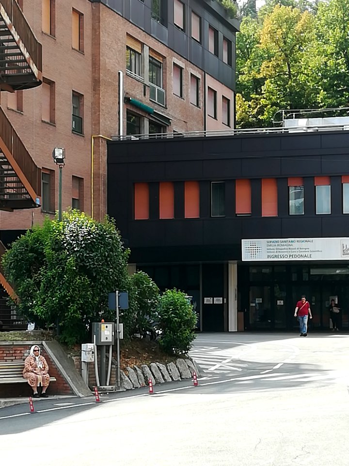 Istituto Ortopedico Rizzoli (BO)