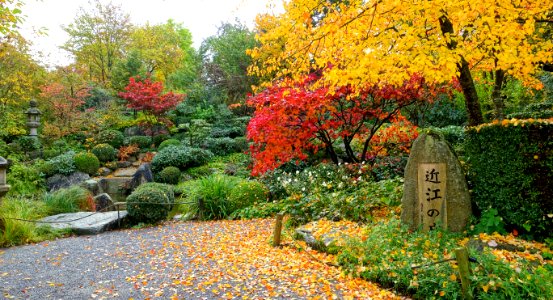 Japanese garden - Landesgartenschau-Park - Würzburg, Germany - DSC04410