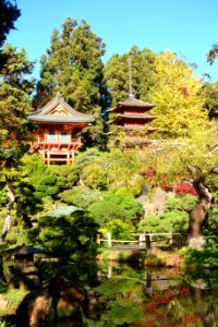 Japanese Tea Garden (San Francisco) - DSC00175 photo