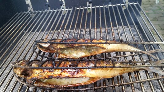 Fish barbecue nutrition photo