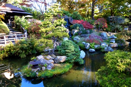Japanese Tea Garden (San Francisco) - DSC00145 photo
