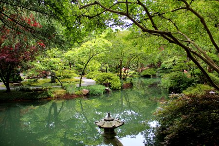 Japanese Gardens, Gibbs Gardens, May 2017 3