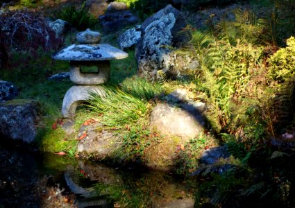 Japanese Tea Garden (San Francisco) - DSC00143