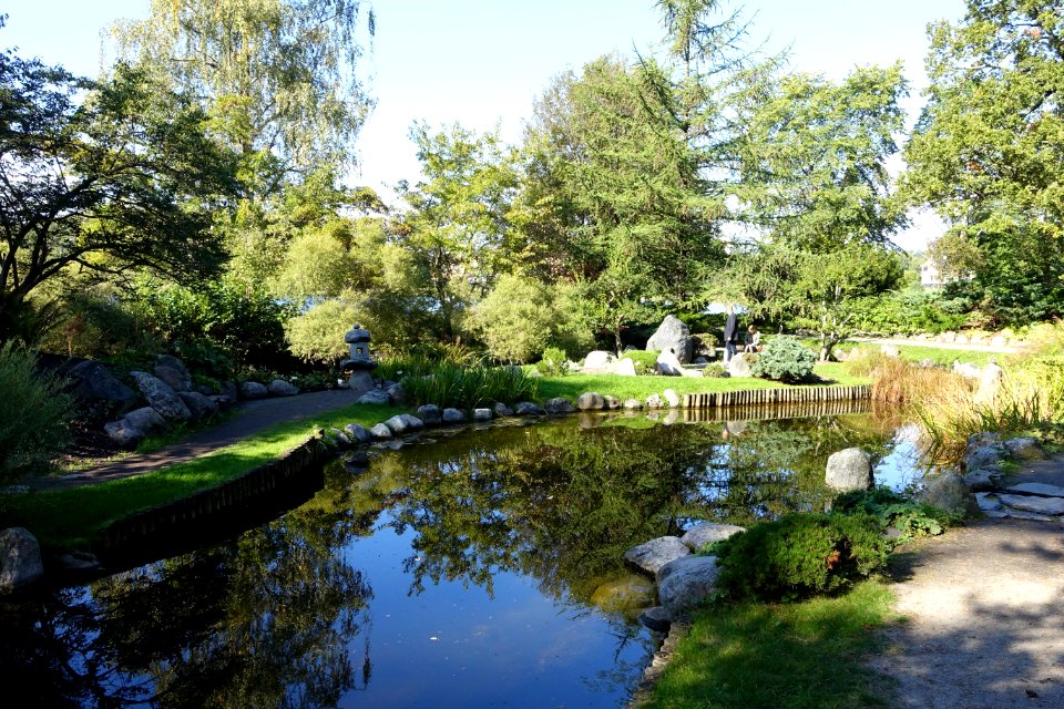 Japanese pond - Bergianska trädgården - Stockholm, Sweden - DSC00499