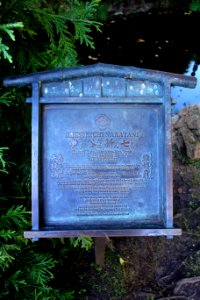Japanese Tea Garden (San Francisco) - DSC00194