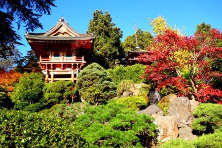Japanese Tea Garden (San Francisco) - DSC00185 photo