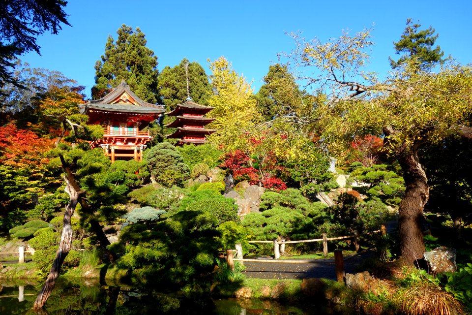 Japanese Tea Garden (San Francisco) - DSC00167