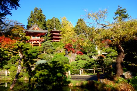 Japanese Tea Garden (San Francisco) - DSC00167 photo