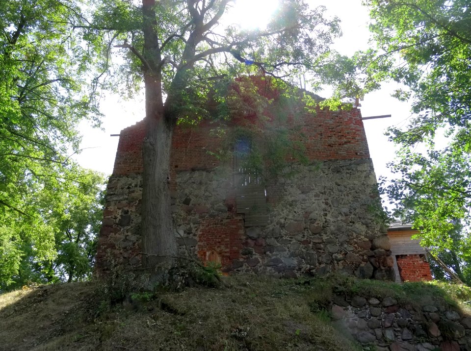 Jasiniec Nowy castle 2