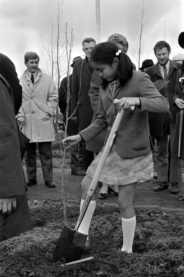 Japans meisje plant een boom, Bestanddeelnr 923-4785