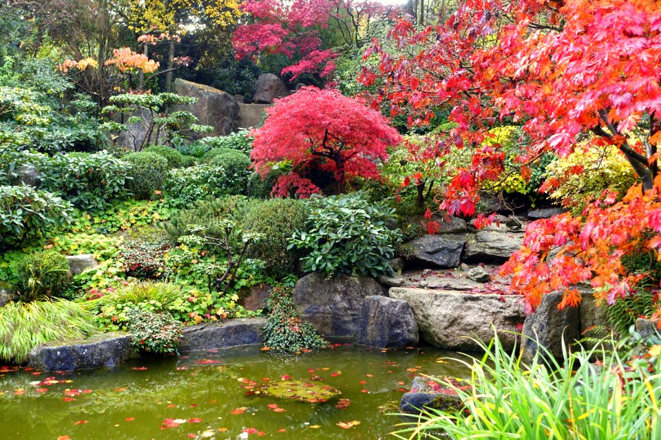 Japanese garden - Landesgartenschau-Park - Würzburg, Germany - DSC04417