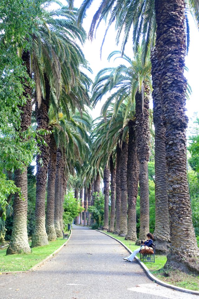 Jardim Botânico Tropical - Lisbon, Portugal - DSC06609