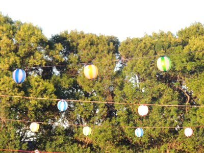 Japanese lanterns at La Plata Bon Odori 2017