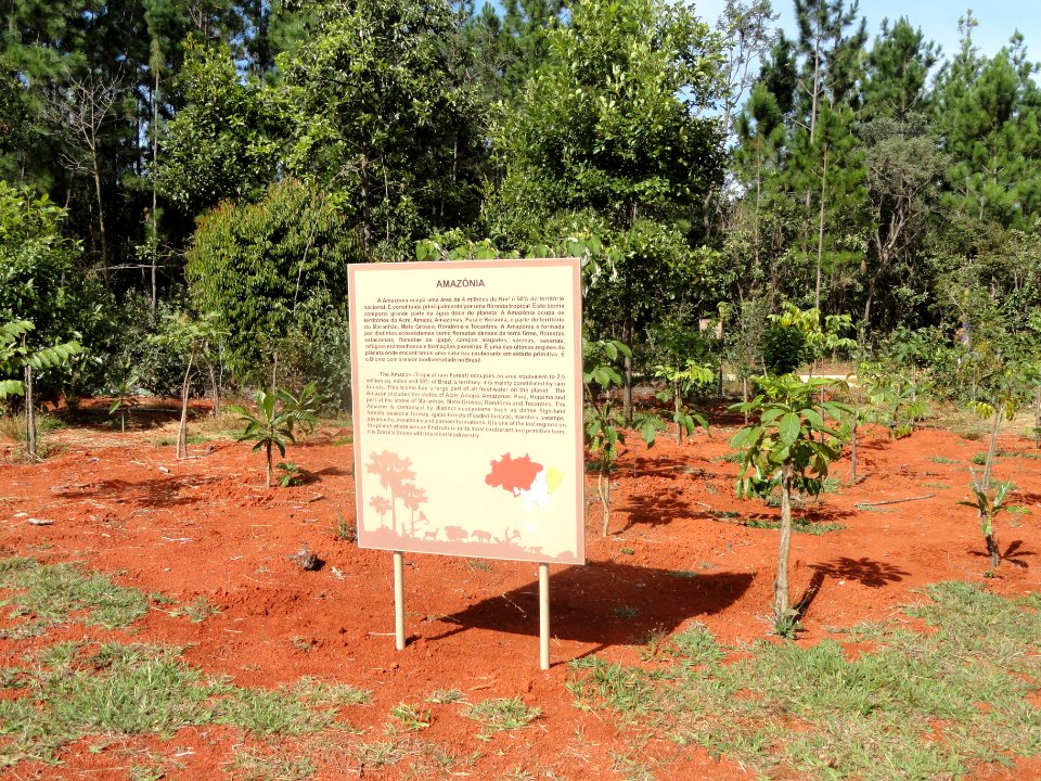 Jardim de Contemplação - Jardim Botânico de Brasília - DSC09621