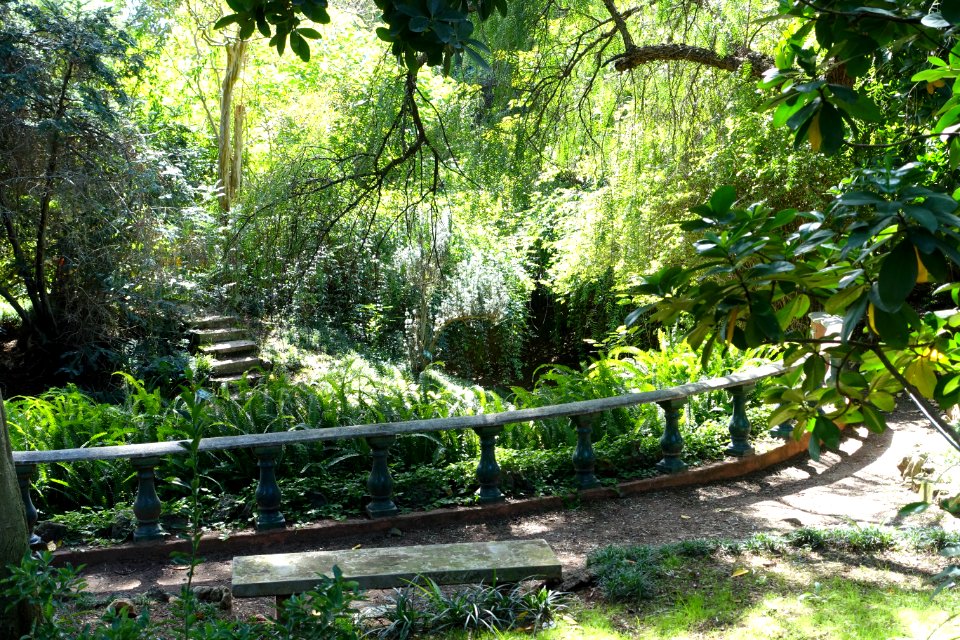 Jardim Botânico Tropical - Lisbon, Portugal - DSC06513