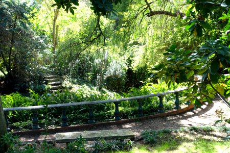 Jardim Botânico Tropical - Lisbon, Portugal - DSC06513