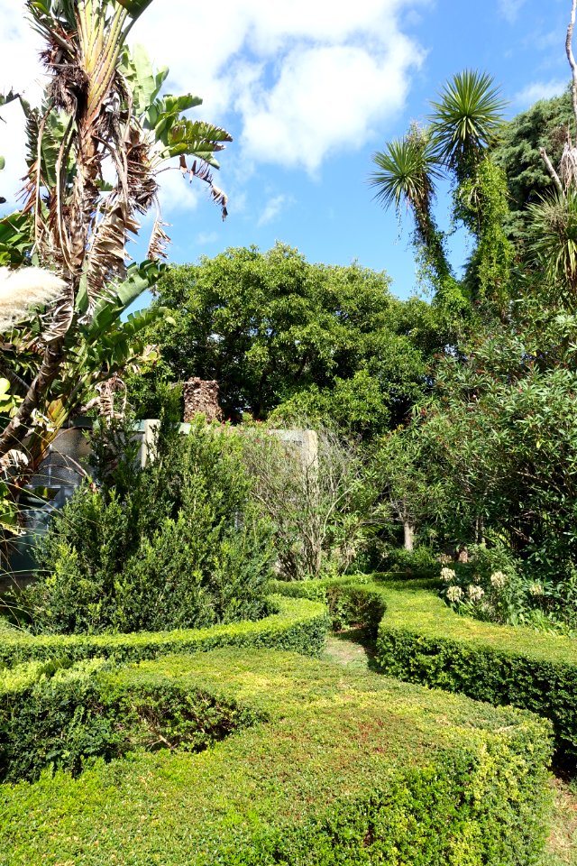Jardim Botânico Tropical - Lisbon, Portugal - DSC06566
