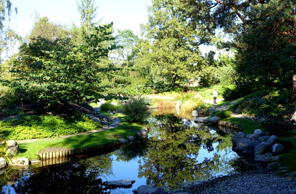 Japanese pond - Bergianska trädgården - Stockholm, Sweden - DSC00498
