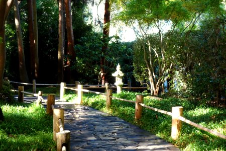 Japanese Tea Garden (San Francisco) - DSC00238