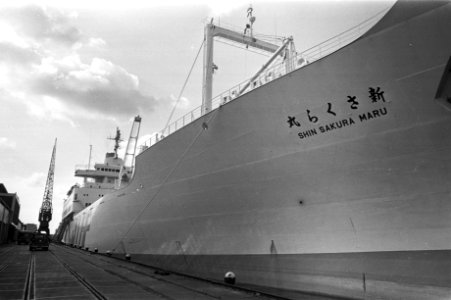 Japanse tentoonstellingsschip Shin Sakura Maru in Amsterdam, Bestanddeelnr 925-8275