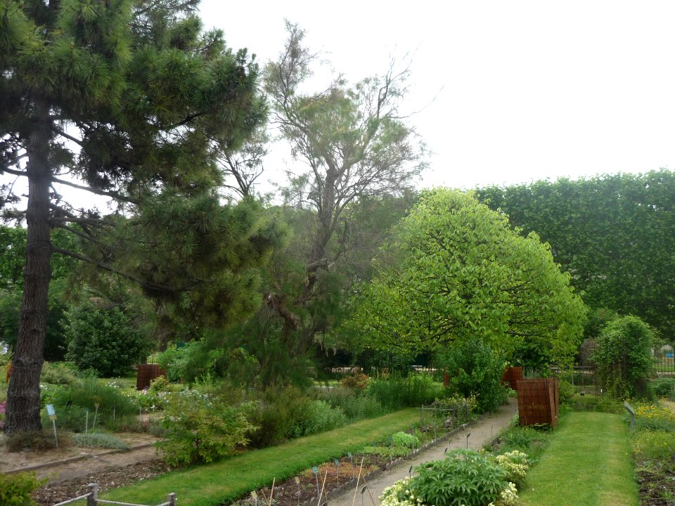 Jardin des Plantes - Paris - P1270599
