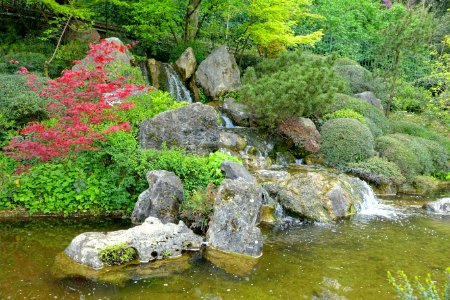 Japanese Garden - Orto botanico - Rome, Italy - DSC00235