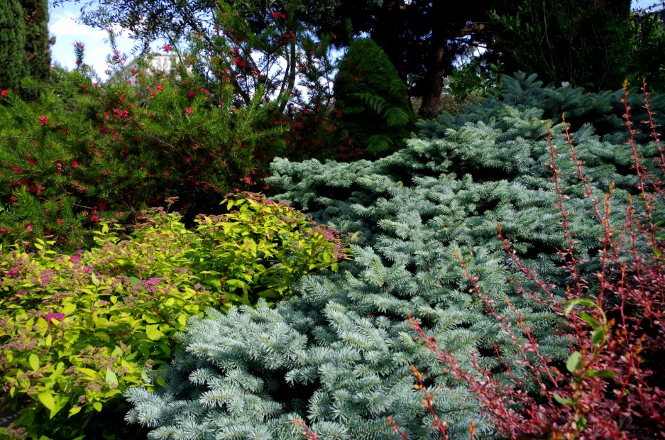 Jardin de Reuilly - Massifs