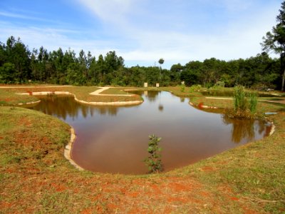 Jardim de Contemplação - Jardim Botânico de Brasília - DSC09616