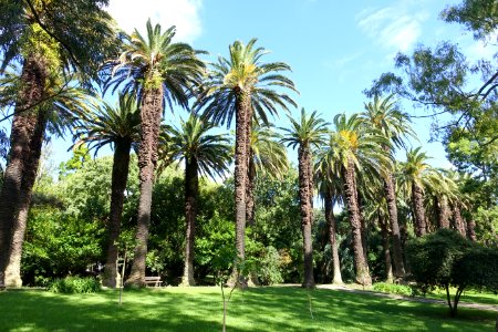 Jardim Botânico Tropical - Lisbon, Portugal - DSC06615