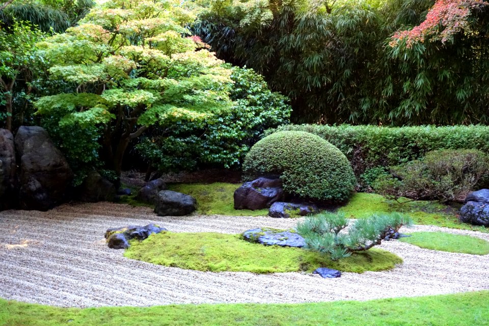 Japanese Tea Garden (San Francisco) - DSC00251