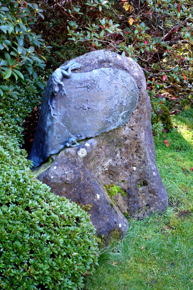 Japanese Tea Garden (San Francisco) - DSC00209