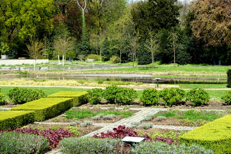 Jardins du Fleuriste du Stuyvenberg - DSC07591