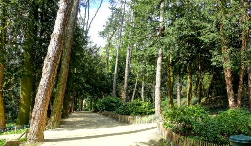 Jardin colonial de Laeken - Brussels, Belgium - DSC07610