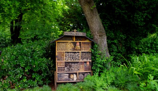 Jardin du Luxembourg - La Maison des Insectes