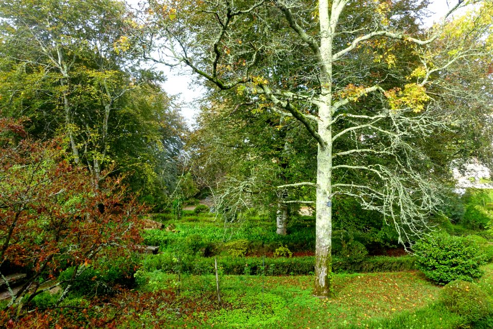 Jardim Botânico da Universidade de Coimbra - Coimbra, Portugal - DSC08828