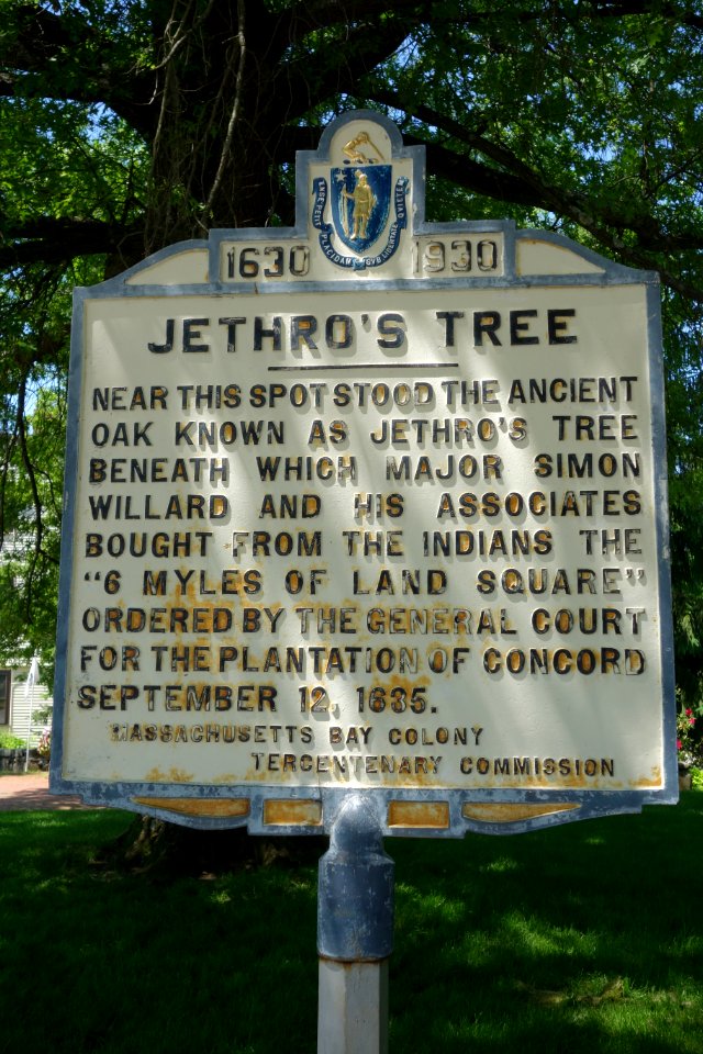 Jethro's Tree memorial - Concord, MA -DSC07005