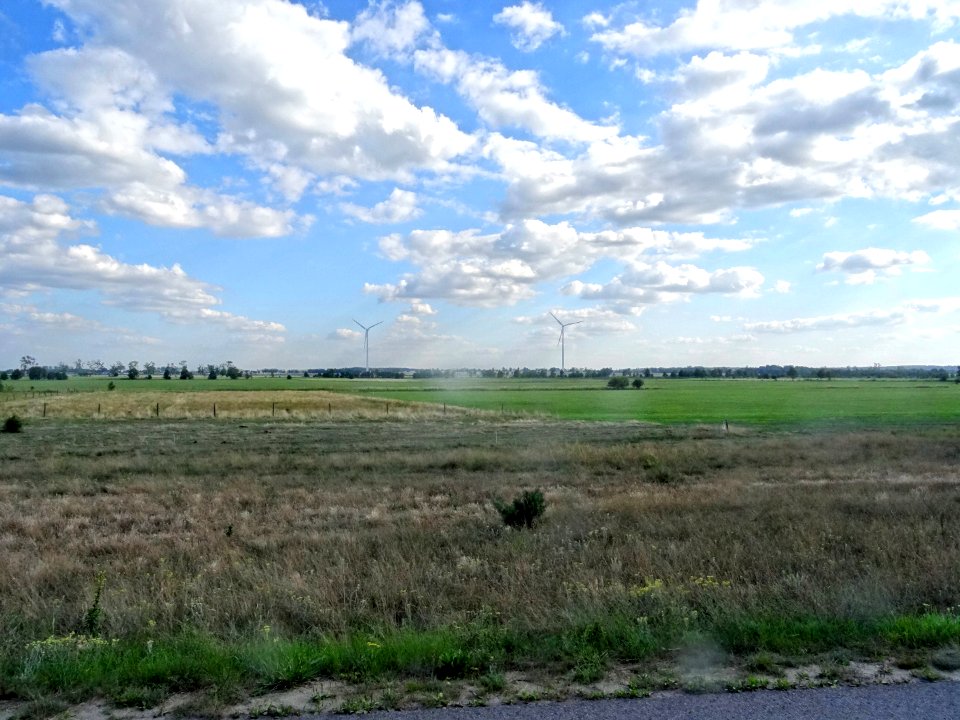 Januszkowo