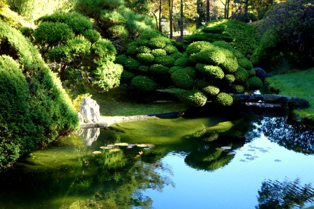 Japanese Tea Garden (San Francisco) - DSC00221 photo