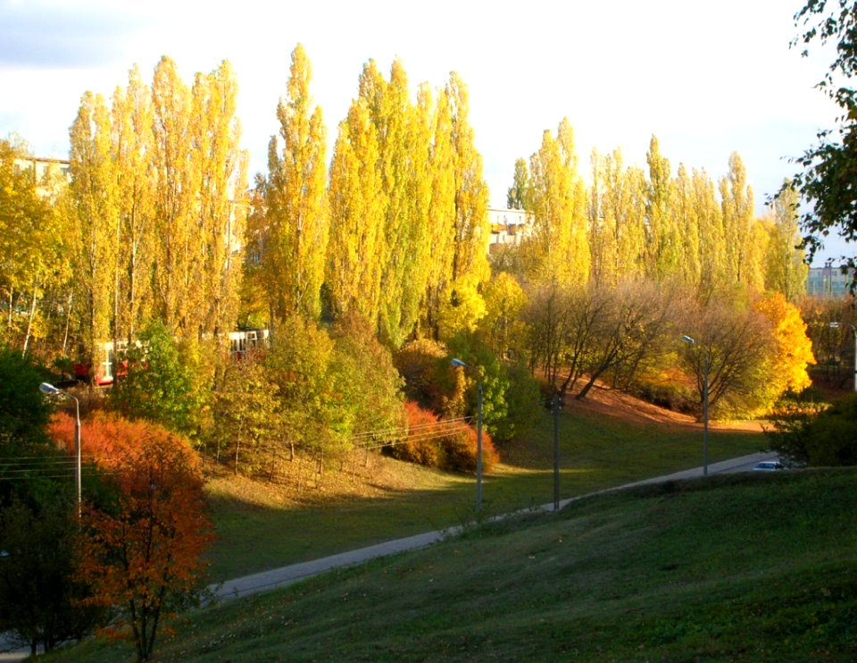 Jar ul Bełzy 2005