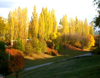 Jar ul Bełzy 2005