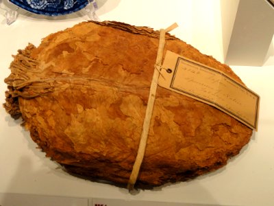 Japanese tobacco, 1853-1854, collected by Commodore Matthew Perry's Japan Expedition - National Museum of American History - DSC06184